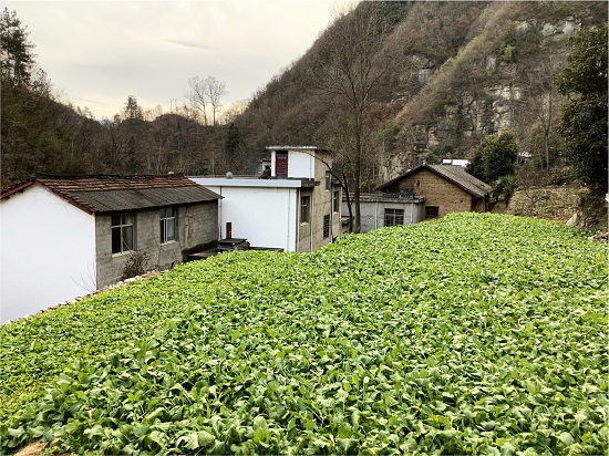 商洛市商南縣鄉(xiāng)建設(shè)用地增減掛鉤項目.jpg