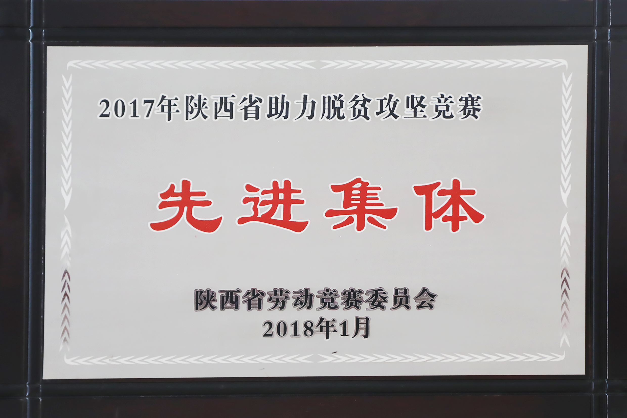 2018.1-2017年陜西省助力脫貧攻堅競賽先進集體.JPG